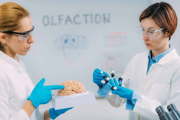 Les Nouvelles Tendances en Matière de Marketing Olfactif Digital